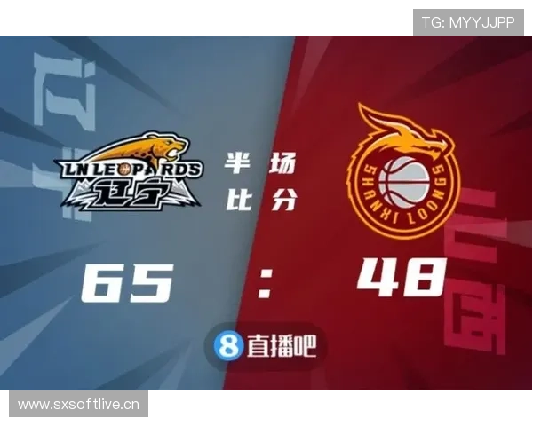 回场违例是什么规则？新手必知的篮球回场判罚解析